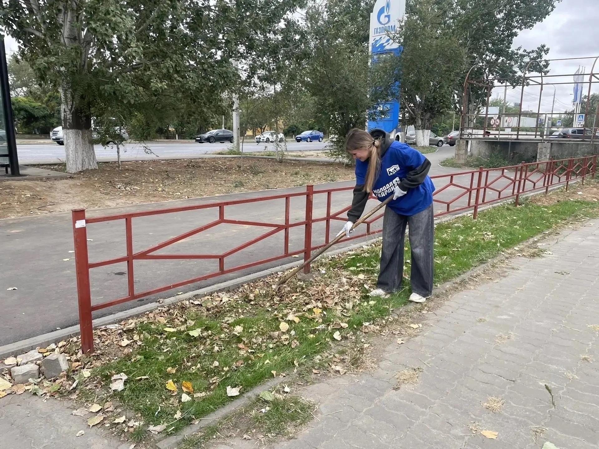 молодогвардейцы и студенты провели субботник в красноармейском районе волгограда картинки мгер
