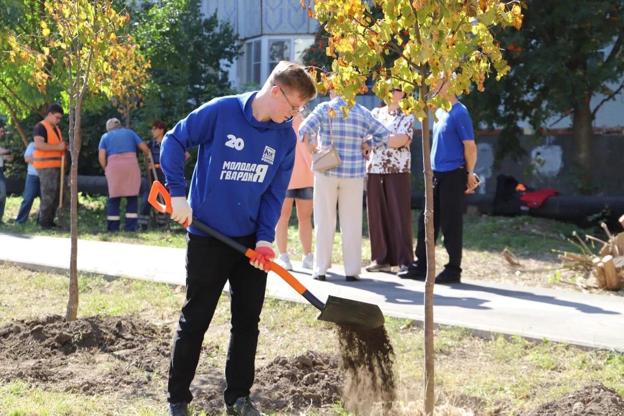 Молодогвардейцы высадили памятную аллею к 880-летию Тулы